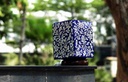 Camel Skin Lamp - Duplicate IMG # 1