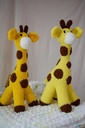 Extra image for Tall Giraffe