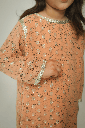 Extra image for Peach Silk Kurta Shalwar