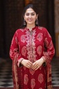 Extra image for Paisley Ajrak Kurta