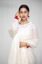 Extra image for Organza Applique Saree
