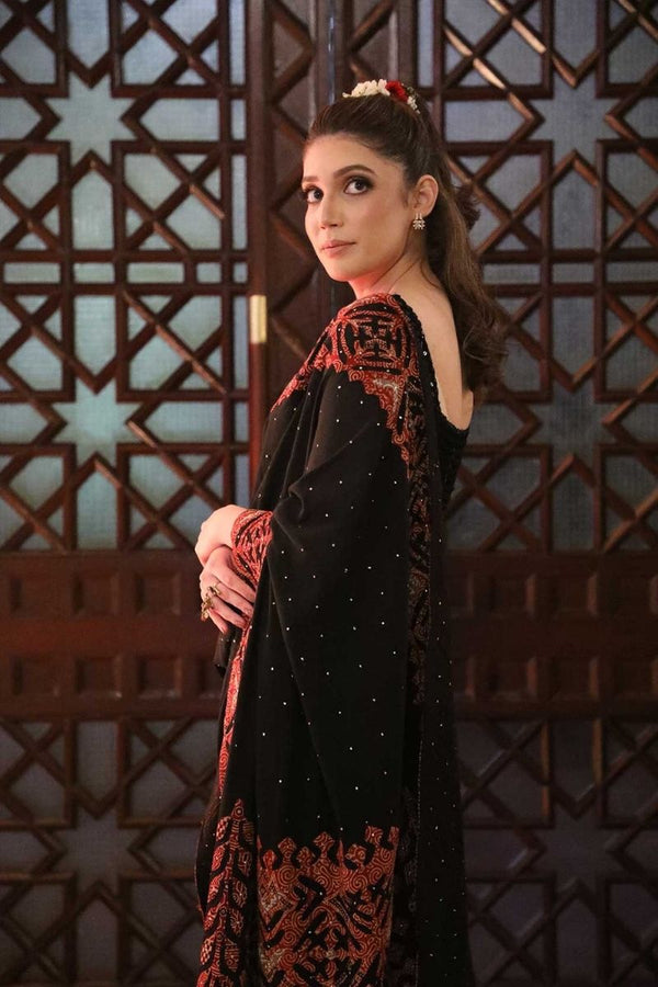 Extra image for Maroon Applique Saree