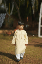 Extra image for Lime Hand Tarkashi Kurta