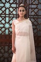 Extra image for Golden Applique Saree