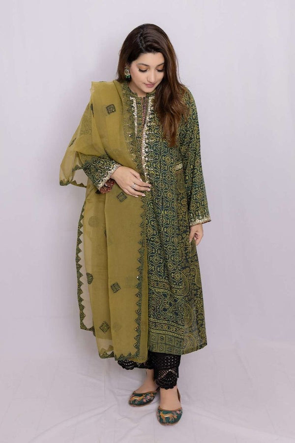 Extra image for Ajrak Applique Organza Dupatta