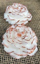 Gardenia Scented Peony Candle ( 4 PC ) _ White and Gold Hand painted Candle _ Beautiful Handmade Gift For Love One _ Perfect For Home Decorations