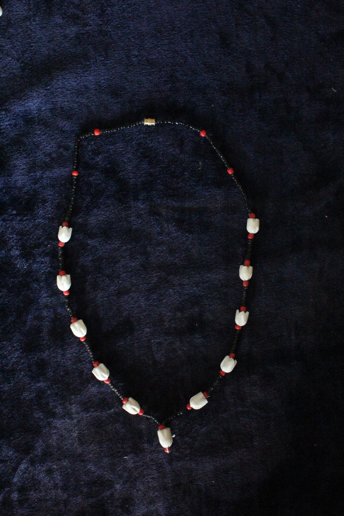 Camelbone Necklace IMG # 5562