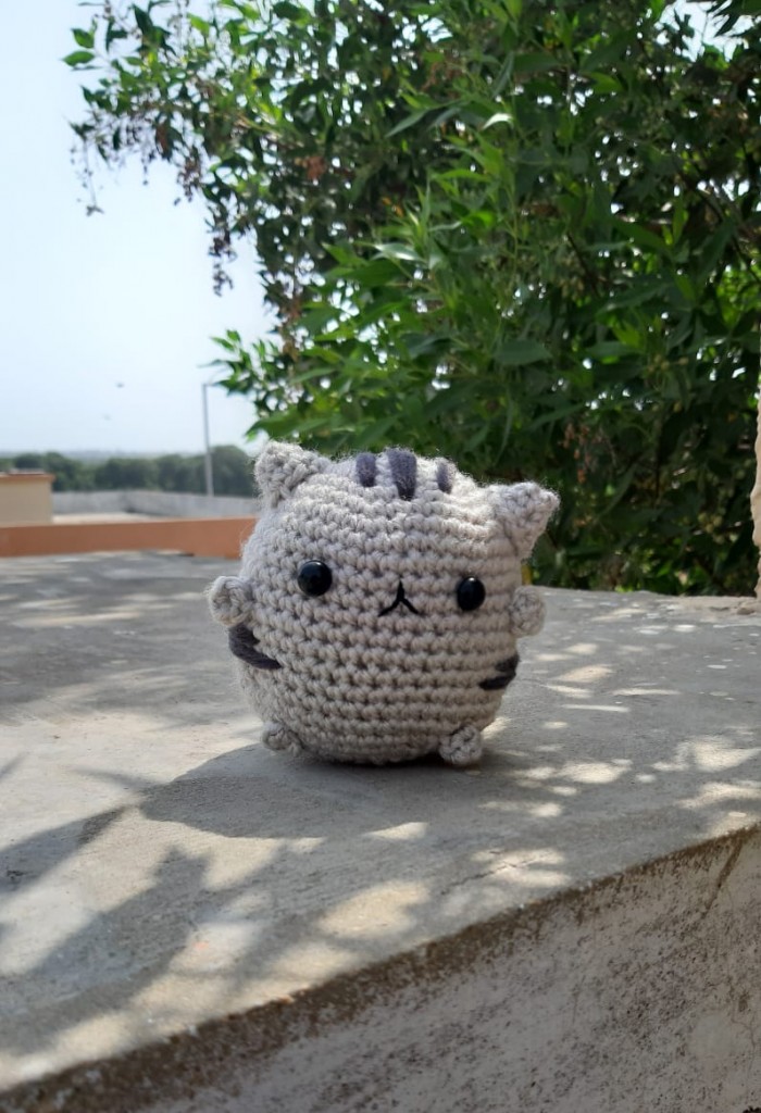 pusheen IMG # 1