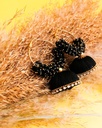 Silk Thread Jhumka