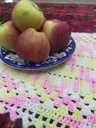 table runner IMG # 1