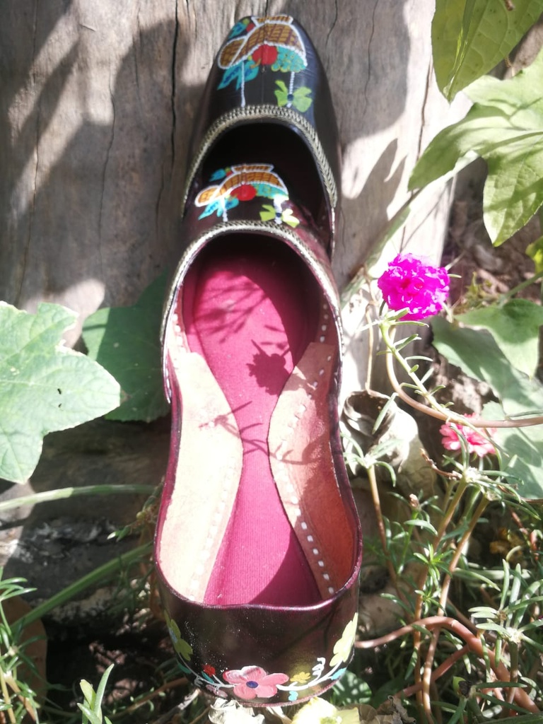Hand Painted Leather Khussa