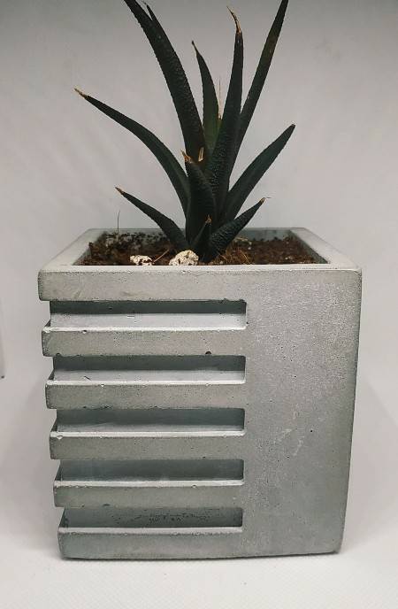 Cube Planter D2