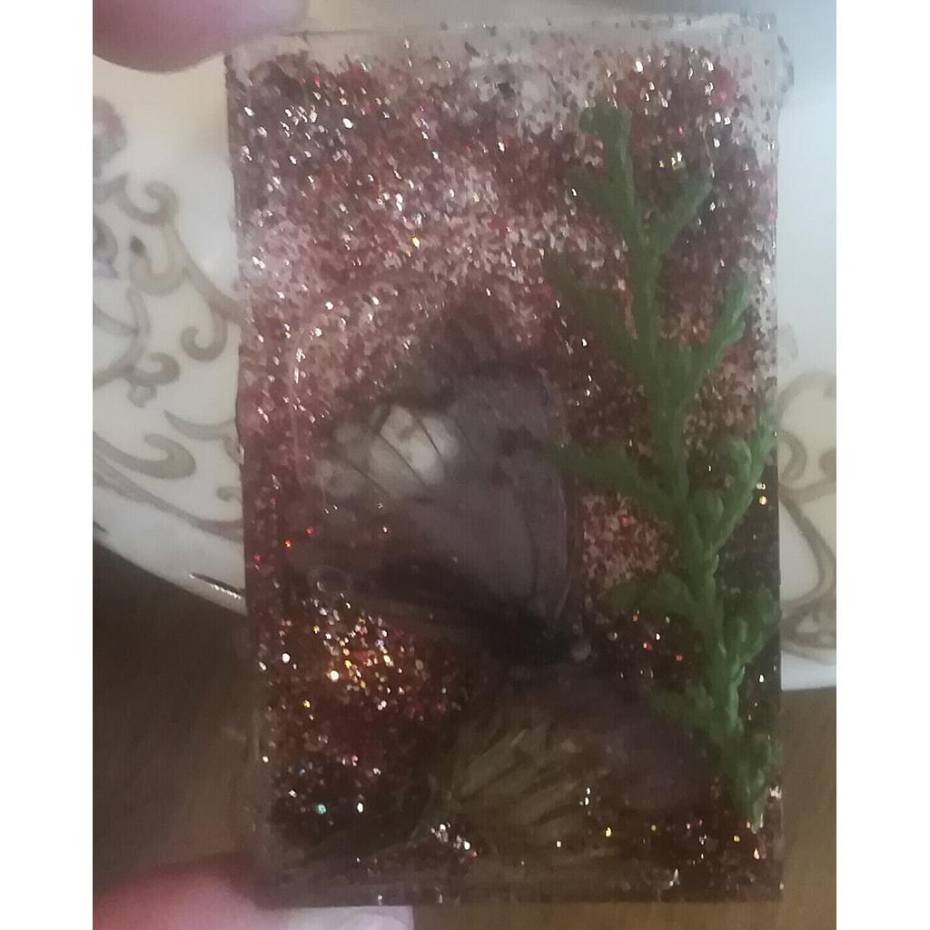 Nature in resin