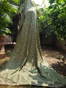 Woolen Kani Outline Shawl