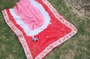 Gotta Work Embroided Dupatta