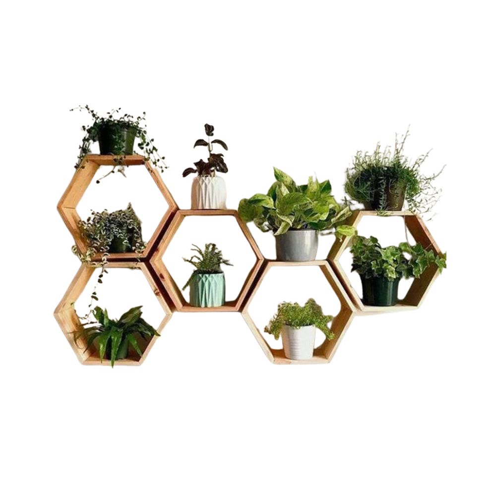 Wall Decors