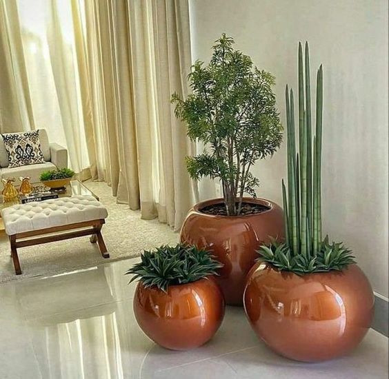 Home Gardening