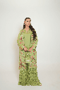 Noor-e-Hunar Gharara