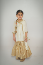 Gold Festive Dress