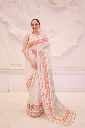 Bronze Twilight Saree