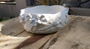 The Bonsai Flower Pot - White