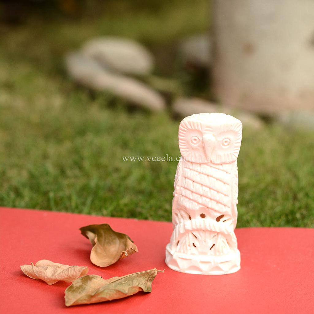 Camel Bone Craft