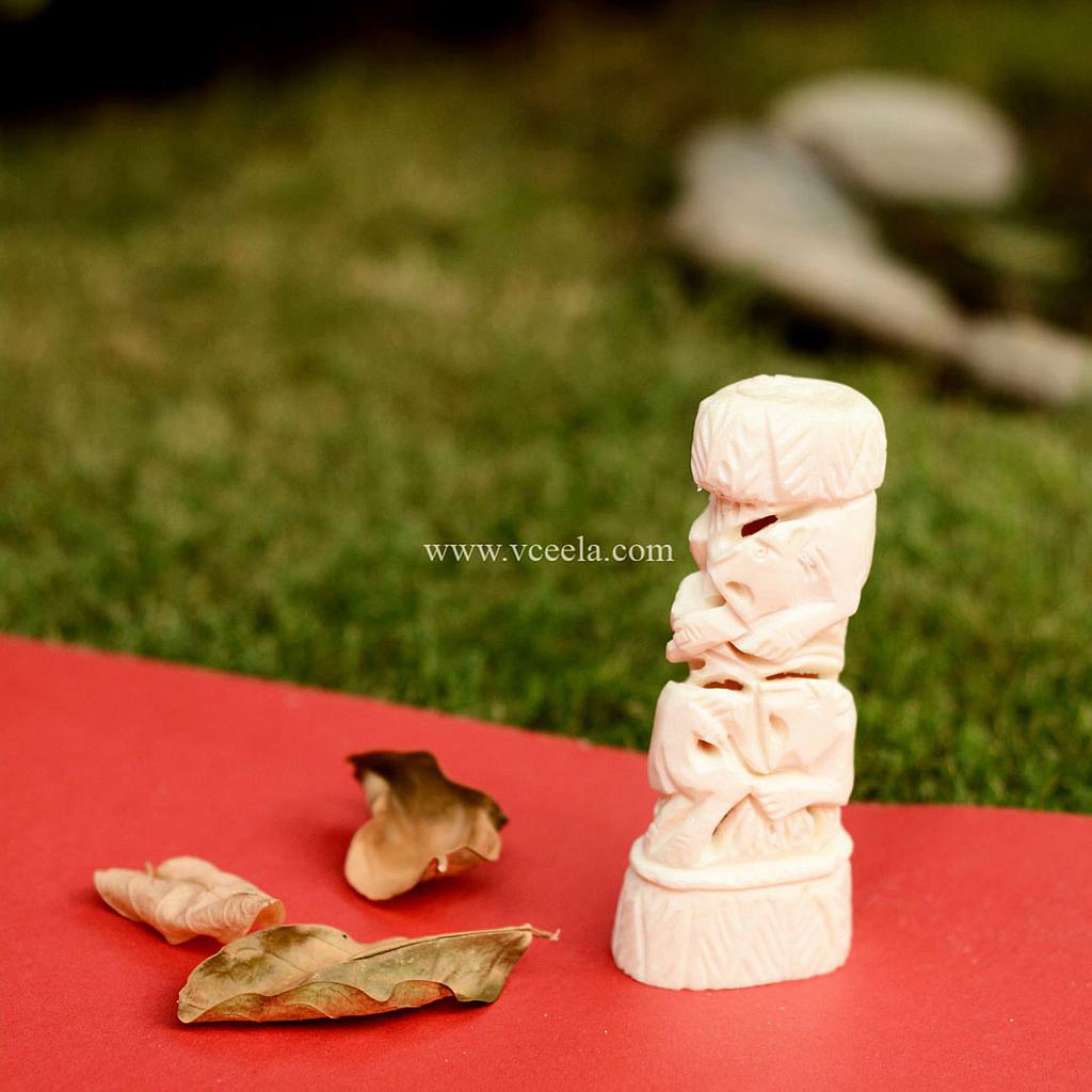 Camel Bone Craft