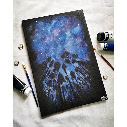 [PK4374-AR-ACR-013267] Starry Night