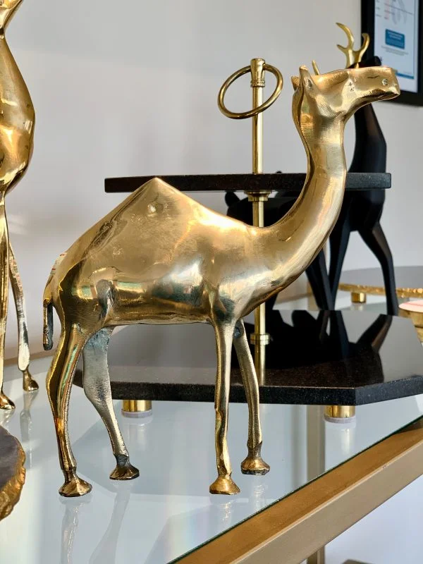 [VC-RAKH-BA-C-10108] Brass Camel