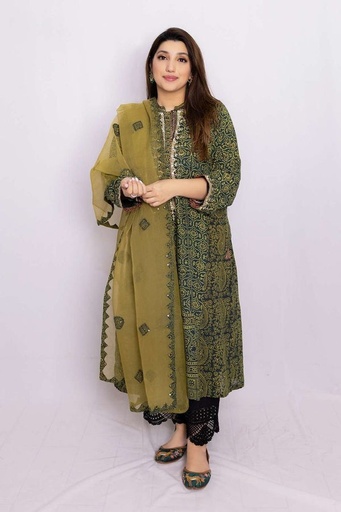 [35.D.25] Ajrak Applique Organza Dupatta